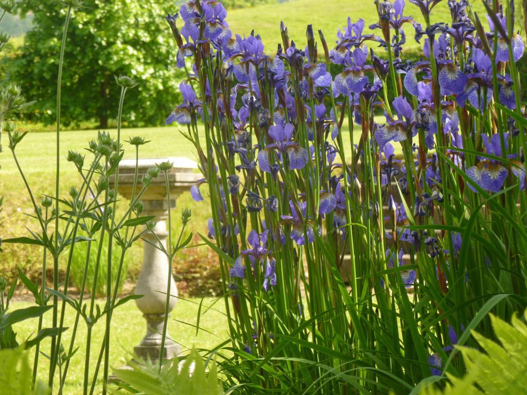 Llwyn Helyg Country House Vendégház Carmarthen Kültér fotó